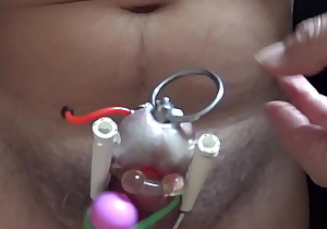 plug urethral penis