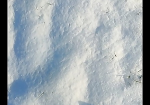 Stroll in a snow